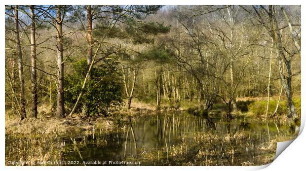 A pond surrounded by trees Print by Alan Dunnett
