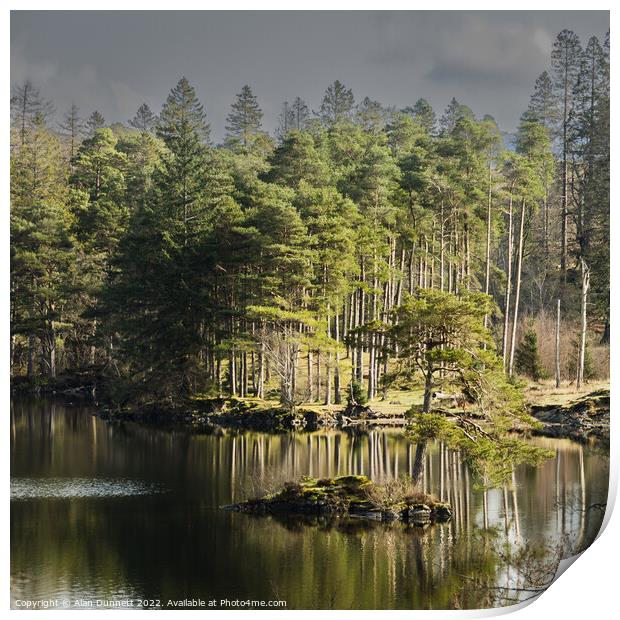 Reflect at Tarn Hows' Print by Alan Dunnett