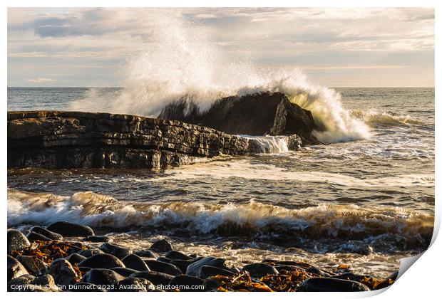 Dunstanburgh big splash at Greymare Rock Print by Alan Dunnett