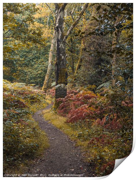 The path of transition to Autumn Print by Alan Dunnett