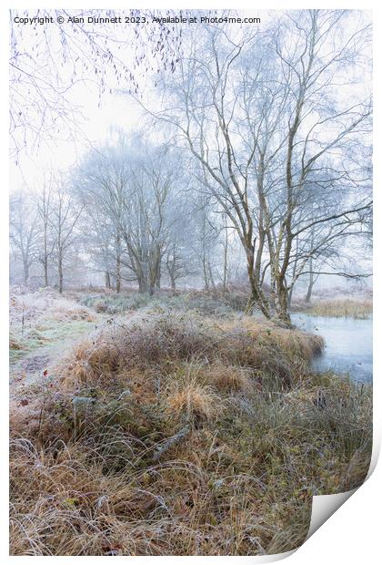 Frozen woodland path Print by Alan Dunnett