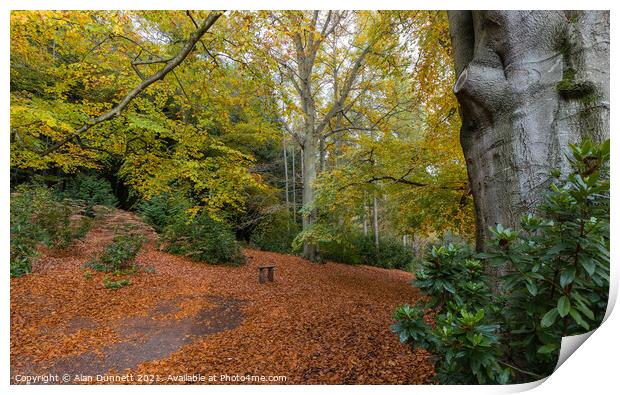 Autumn Bench Print by Alan Dunnett