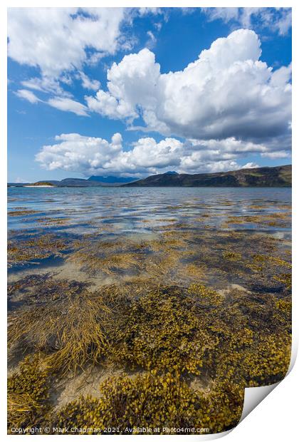 Loch Eishort seaweed  and Cuillin, Skye Print by Photimageon UK