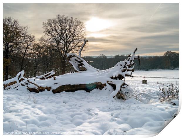Derbyshire Winter scene Print by Photimageon UK
