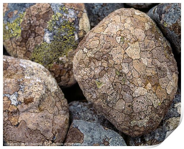Lichen covered pebbles Print by Photimageon UK