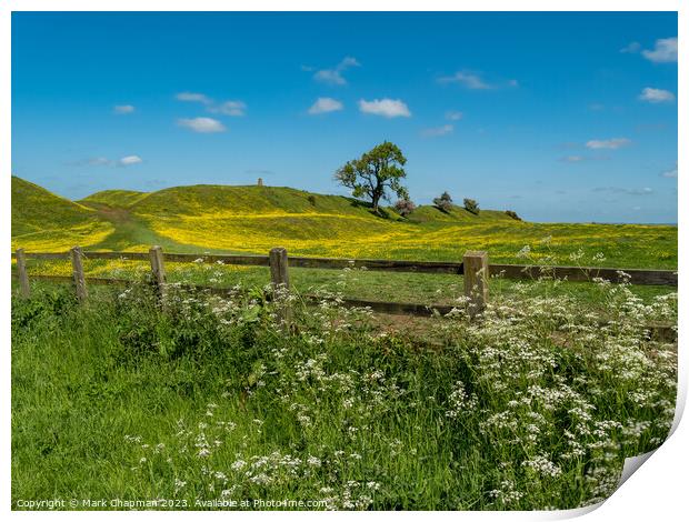 Spring flowers at Burrough Hill, Leicestershire Print by Photimageon UK