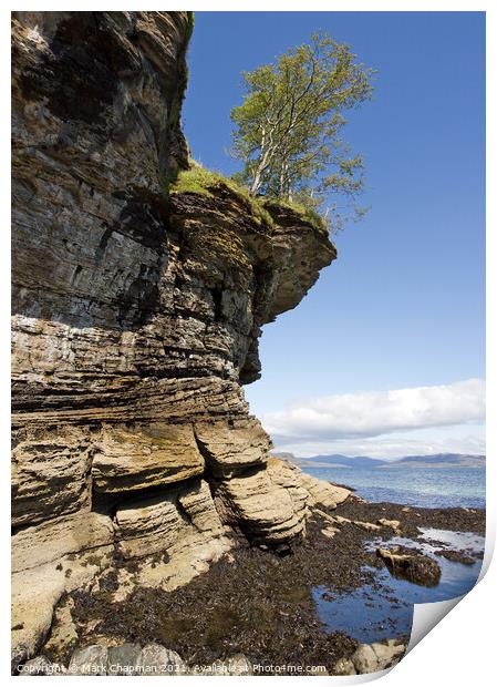 Eroded, overhanging sea cliffs and trees near Elgol, Isle of Skye Print by Photimageon UK