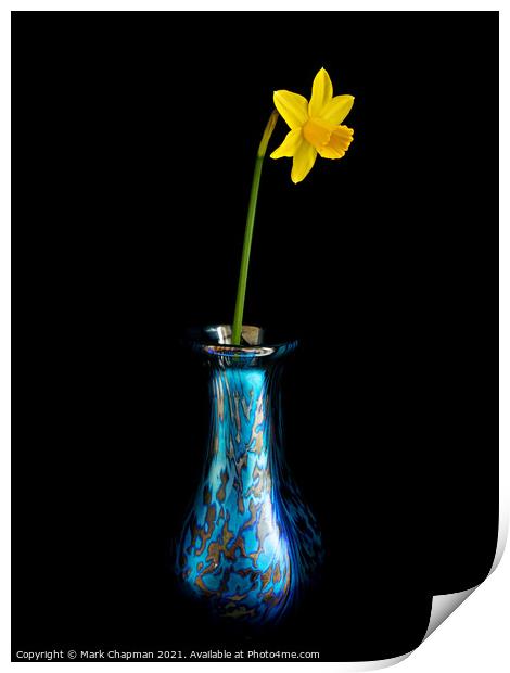 Single yellow daffodil in vase Print by Photimageon UK