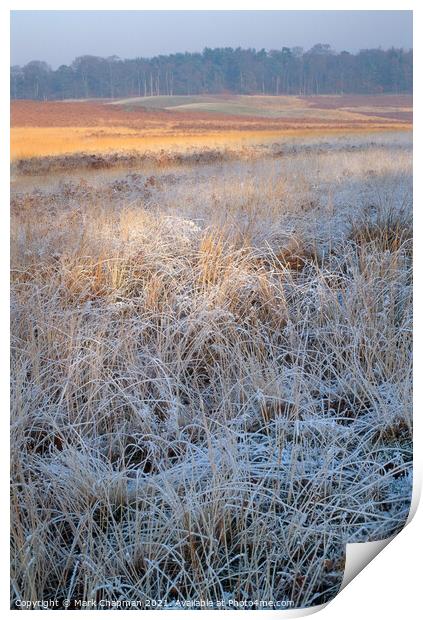 Frosty grass, Bradgate Park, Leicestershire Print by Photimageon UK