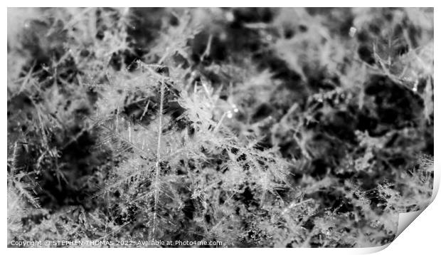 Snowflakes - Black and White Macro Photo Print by STEPHEN THOMAS