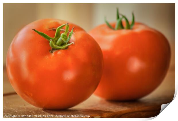 Two Tomatoes Print by STEPHEN THOMAS