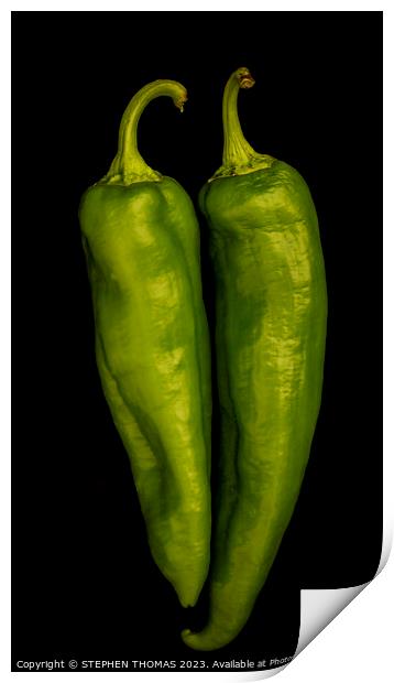 Green Chilli Peppers Print by STEPHEN THOMAS