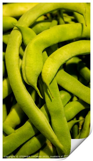 Green Beans Close-up Print by STEPHEN THOMAS