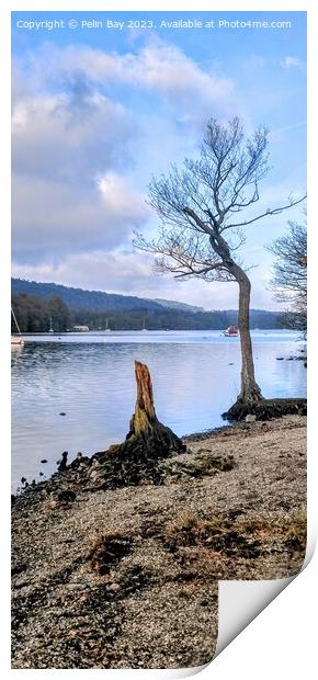 Lake Windermere on at winters day at fell foot  Print by Pelin Bay