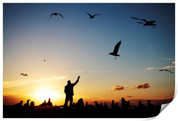 Man feeding seagulls on Brighton Beach Print by Neil Overy