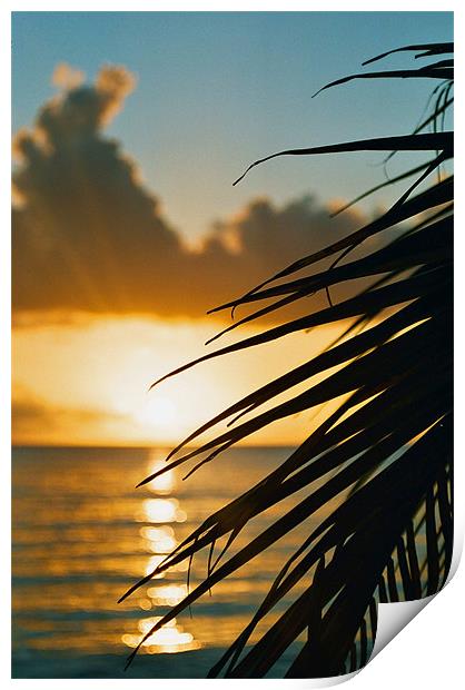 Caribbean Sunset, Barbados Print by David Gardener