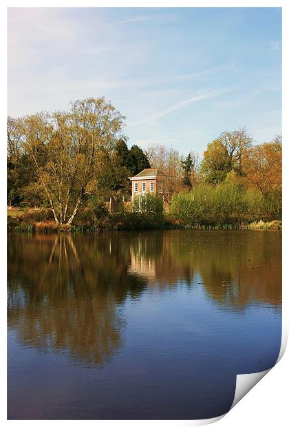 Herstmonceux Lake, Sussex Print by David Gardener