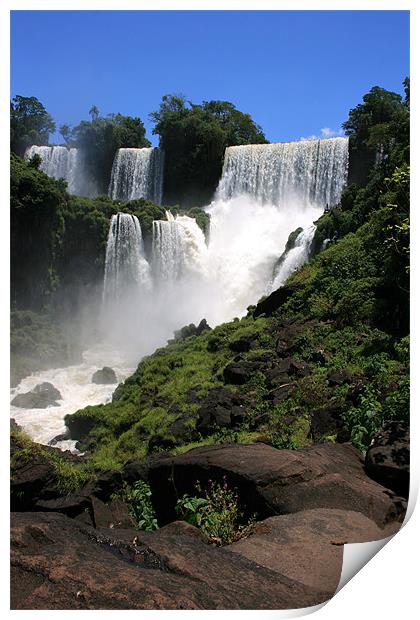 Iguazu Falls Print by David Gardener