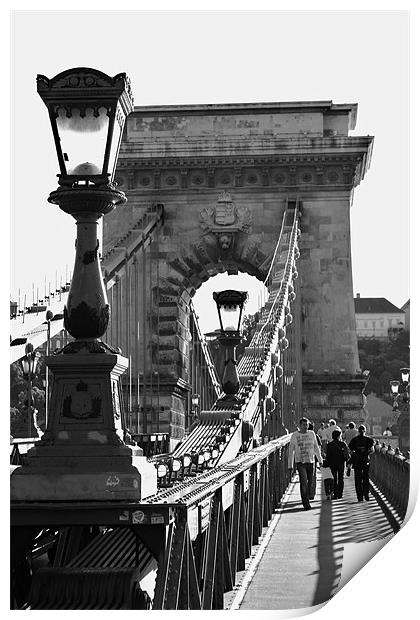 Széchenyi Chain Bridge, Budapest Print by David Gardener