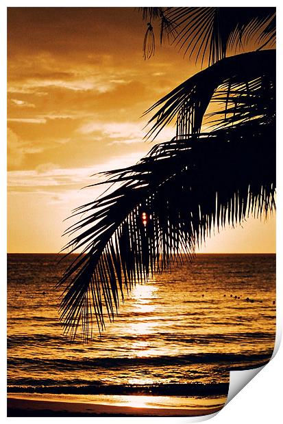 Caribbean Sunset, Barbados Print by David Gardener