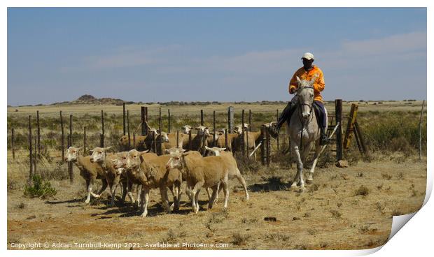 Rounding up the sheep Print by Adrian Turnbull-Kemp