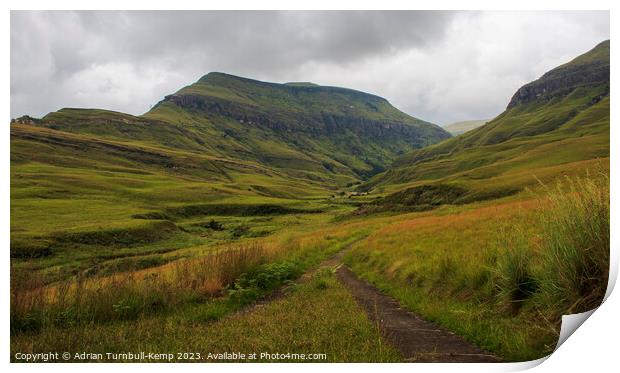 Footpath, Cathedral Peak Nature Reserve Print by Adrian Turnbull-Kemp