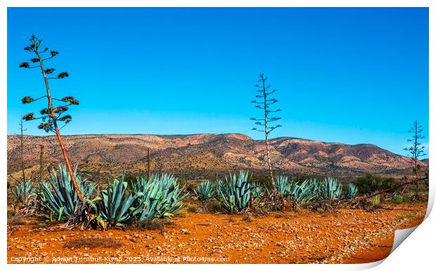 The Baviaans mountains Print by Adrian Turnbull-Kemp