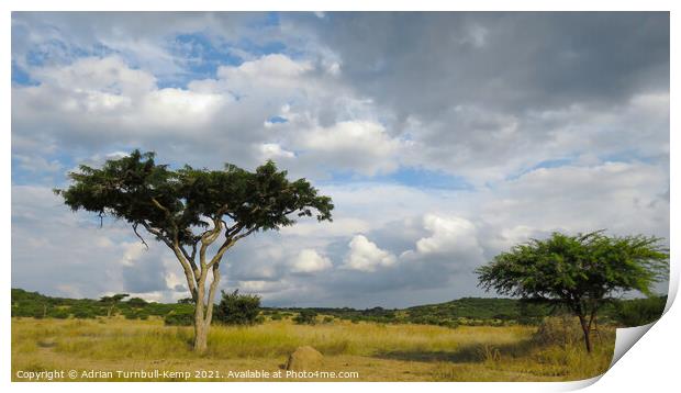 Looming storm clouds, Spioenkop Nature Reserve, Kwazulu Natal Print by Adrian Turnbull-Kemp
