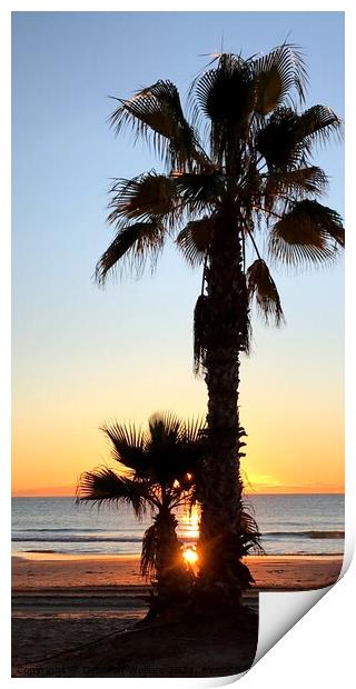 Sunrise and palm trees Print by Deborah Welfare