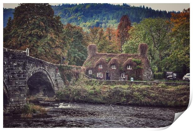 Tu Hwnt Ir Bont Tearooms  Print by Ian Fairbrother