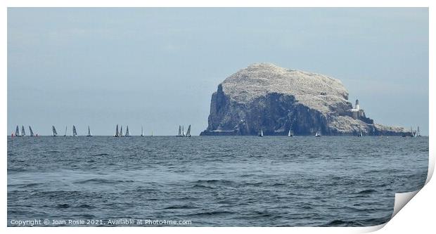 Yachts sailing in front of Bass Rock with lighthouse on right-hand side Print by Joan Rosie