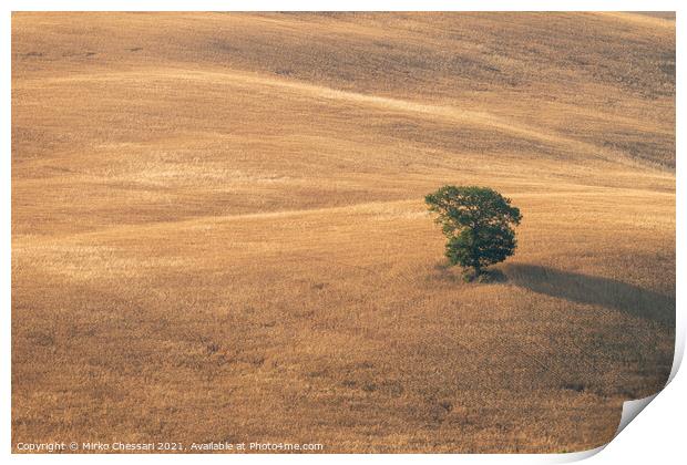 The hills of Val d'Orcia, Tuscany Print by Mirko Chessari