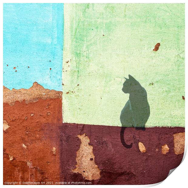 Black cat sitting on a colourful wall in Cuba Print by Delphimages Art