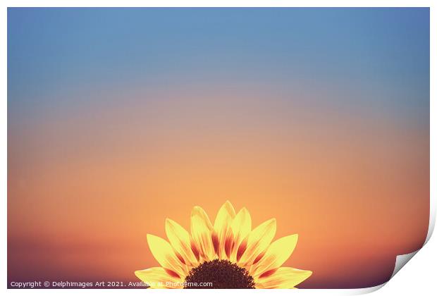 Sunflower surreal minimal sunset Print by Delphimages Art