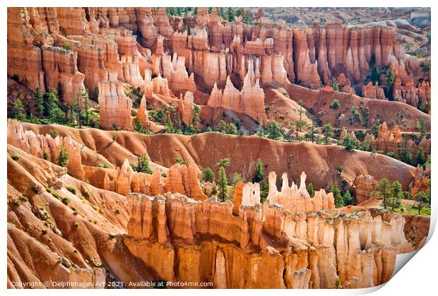 Bryce canyon national park, Utah. Sunrise point Print by Delphimages Art