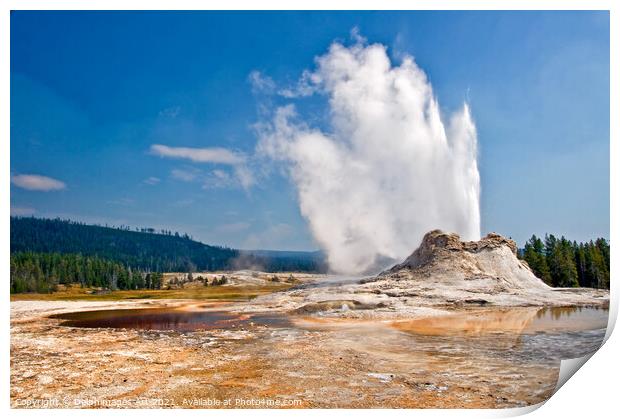 Castle Geyser in Yellowstone National Park, USA Print by Delphimages Art