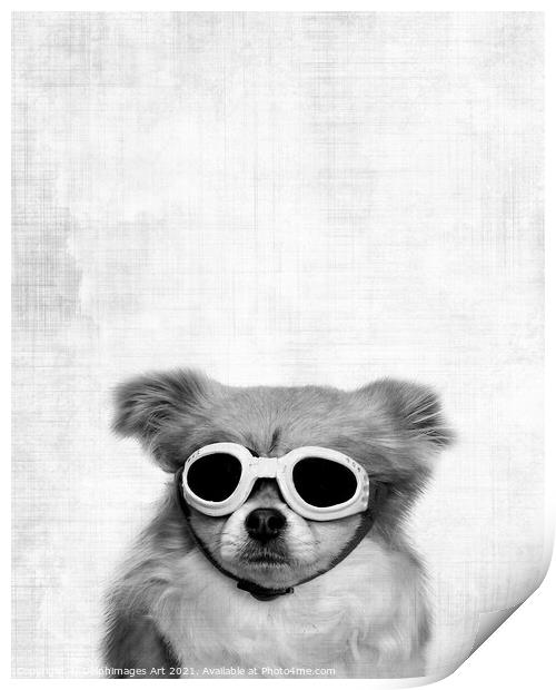Funny dog with goggles, black and white Print by Delphimages Art