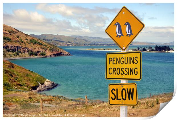 Penguins crossing roadsign in New Zealand Print by Delphimages Art