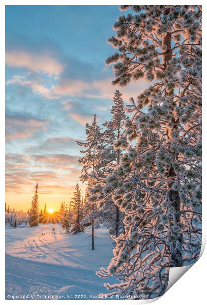Winter landscape at sunset in Lapland Print by Delphimages Art