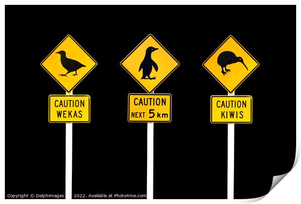 New Zealand road signs Print by Delphimages Art