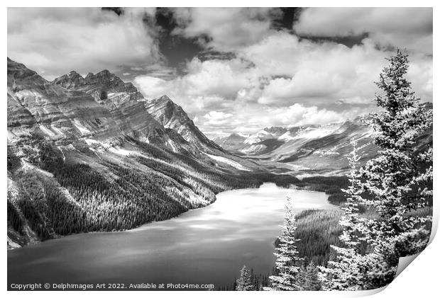 Canada. Peyto lake, Banff National Park Print by Delphimages Art