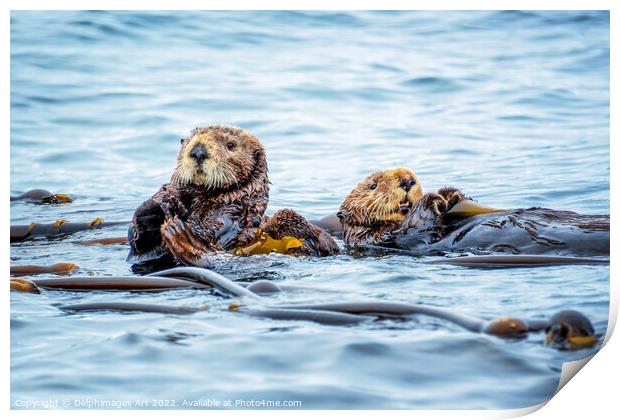 Sea otters in the ocean Print by Delphimages Art