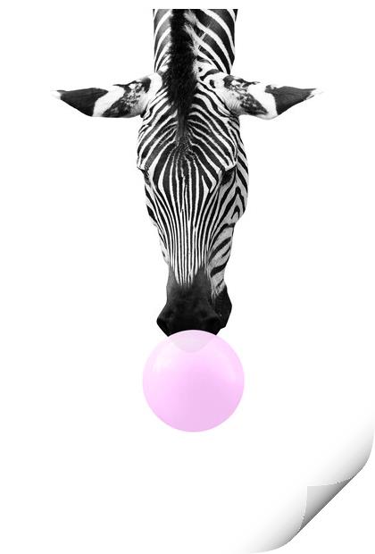 Bubble gum zebra, funny animal Print by Delphimages Art