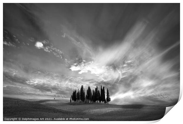 Tuscan landscape. Cypress trees cluster Print by Delphimages Art
