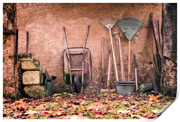 Rustic garden tools against a wall in autumn Print by Delphimages Art