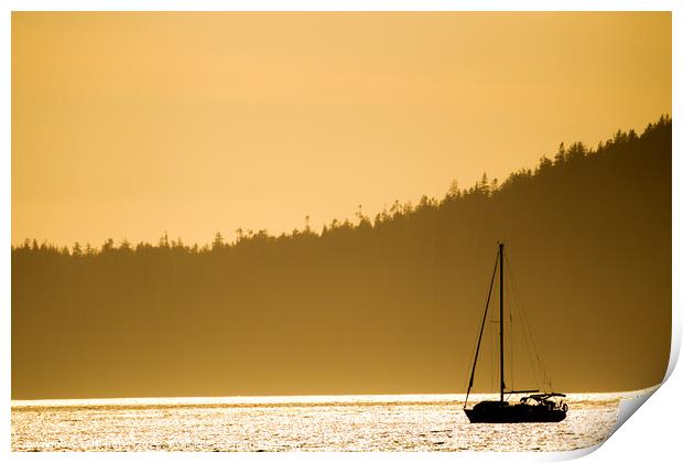 Sail boat in evening light Print by Dirk Rüter