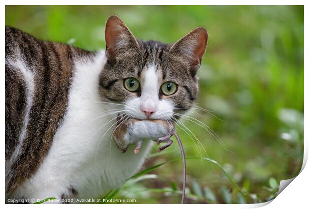 Cat with mouse Print by Dirk Rüter