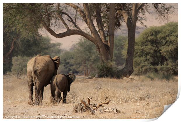 Desert Elephants in Namibia Print by Dirk Rüter