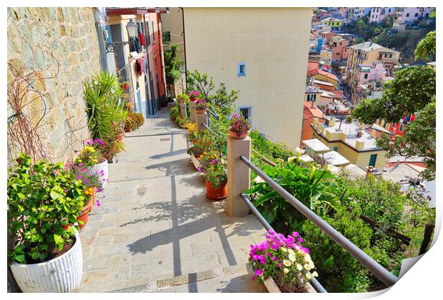 Italy, Riomaggiore colorful streets Print by Elijah Lovkoff