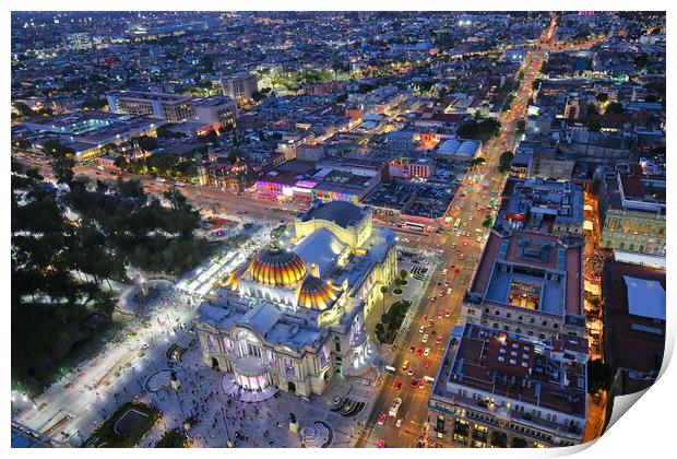 Panoramic view of Mexico City  Print by Elijah Lovkoff